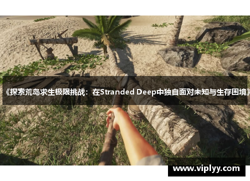 《探索荒岛求生极限挑战：在Stranded Deep中独自面对未知与生存困境》