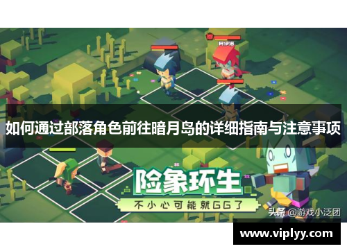 如何通过部落角色前往暗月岛的详细指南与注意事项